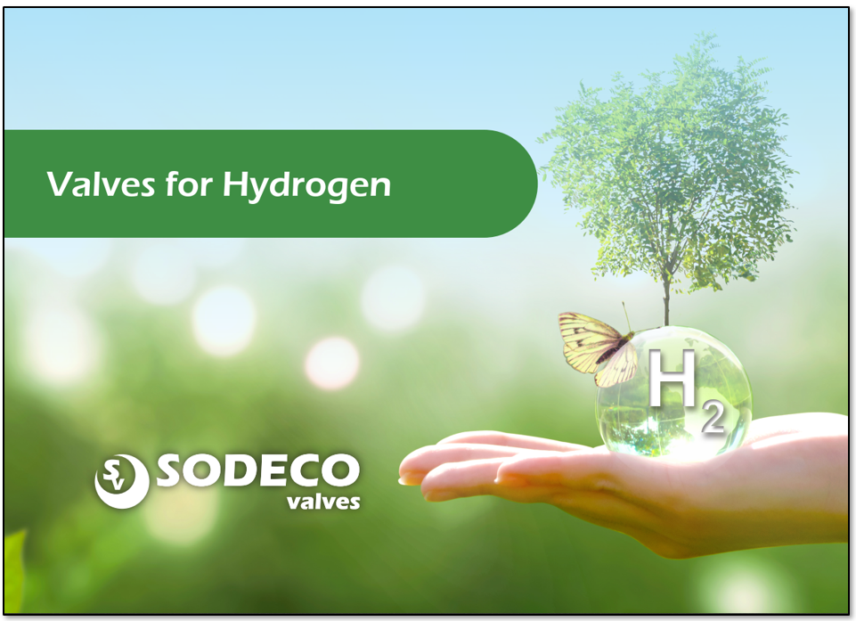 Valves for hydrogen